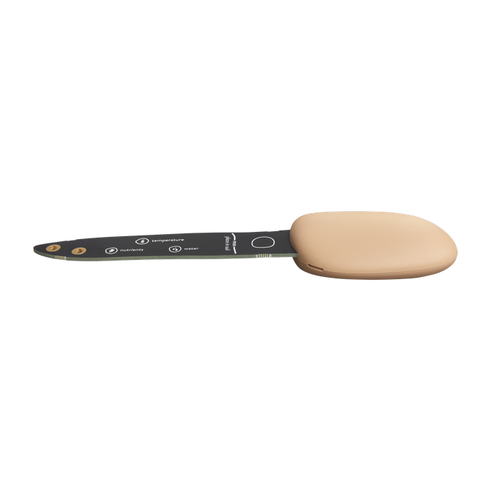 smart pebble aardebruin